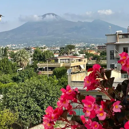 Terafi Pompeia