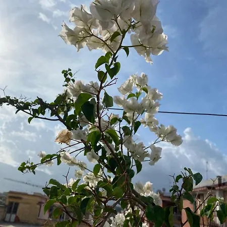 Bed & Breakfast Terafi